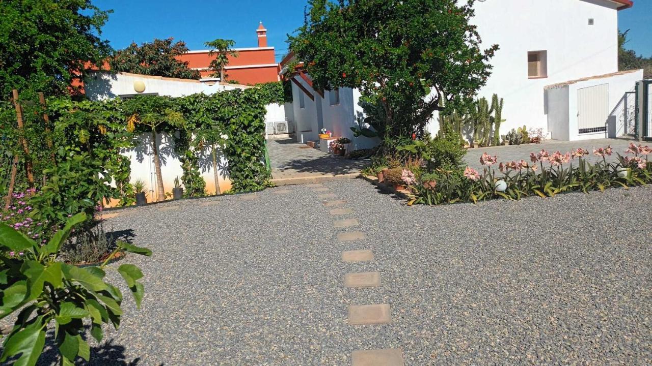 Adelino Guest House Ольян Экстерьер фото